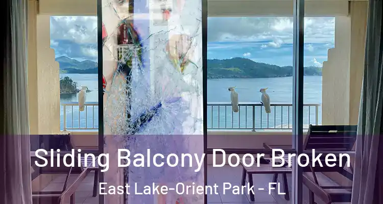  Sliding Balcony Door Broken East Lake-Orient Park - FL
