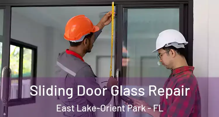  Sliding Door Glass Repair East Lake-Orient Park - FL