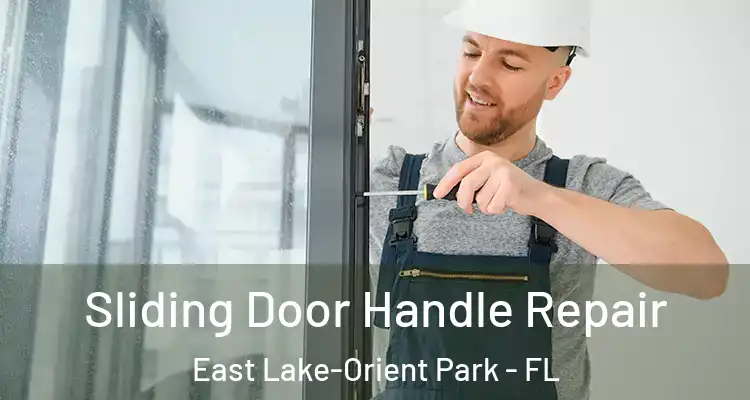  Sliding Door Handle Repair East Lake-Orient Park - FL