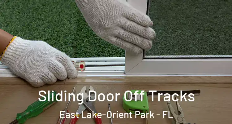  Sliding Door Off Tracks East Lake-Orient Park - FL
