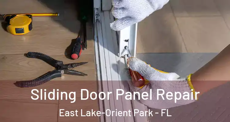  Sliding Door Panel Repair East Lake-Orient Park - FL