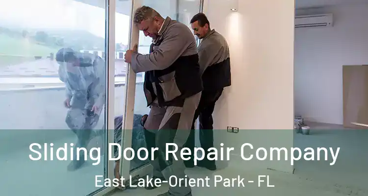  Sliding Door Repair Company East Lake-Orient Park - FL