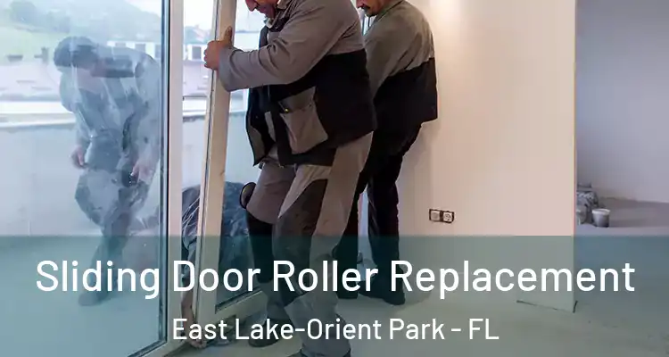 Sliding Door Roller Replacement East Lake-Orient Park - FL