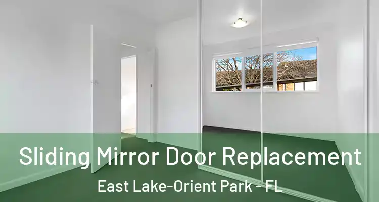  Sliding Mirror Door Replacement East Lake-Orient Park - FL