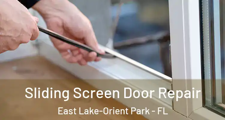  Sliding Screen Door Repair East Lake-Orient Park - FL