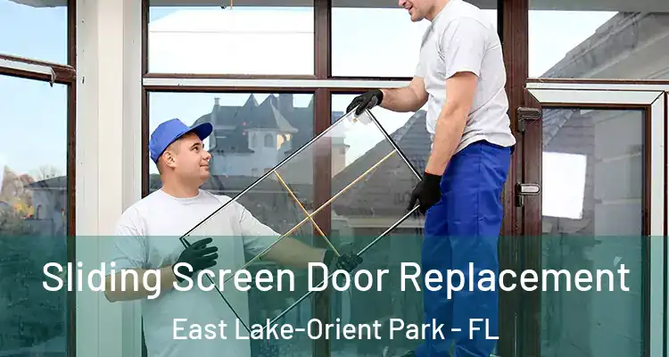  Sliding Screen Door Replacement East Lake-Orient Park - FL