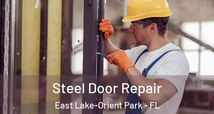  Steel Door Repair East Lake-Orient Park - FL