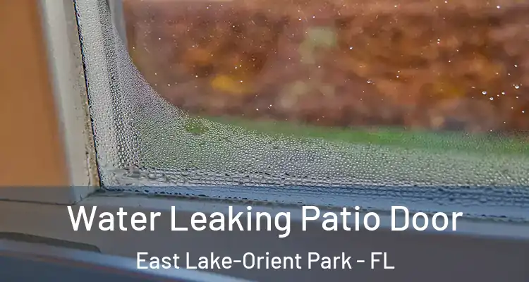  Water Leaking Patio Door East Lake-Orient Park - FL
