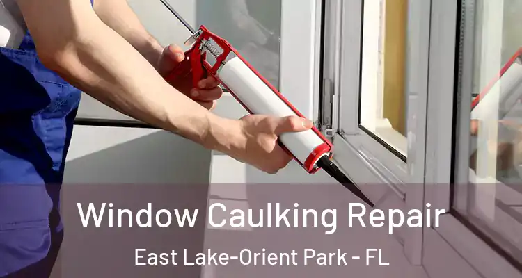  Window Caulking Repair East Lake-Orient Park - FL