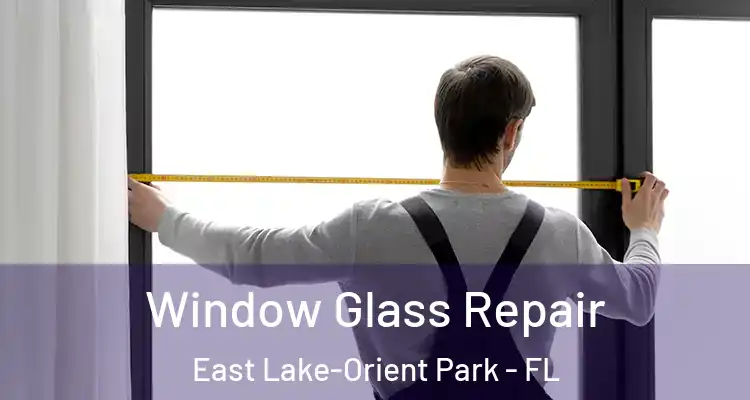  Window Glass Repair East Lake-Orient Park - FL