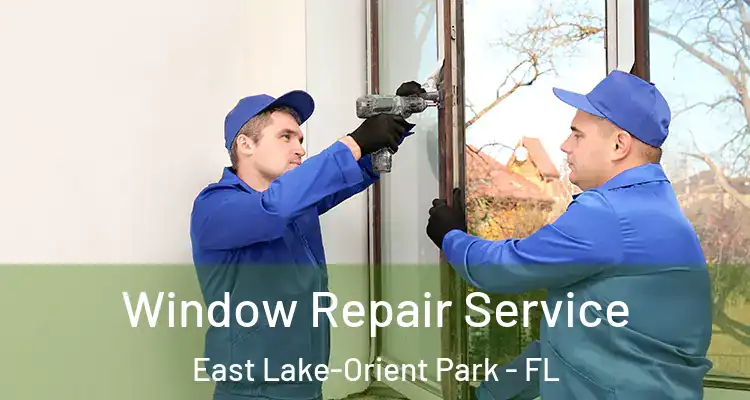  Window Repair Service East Lake-Orient Park - FL