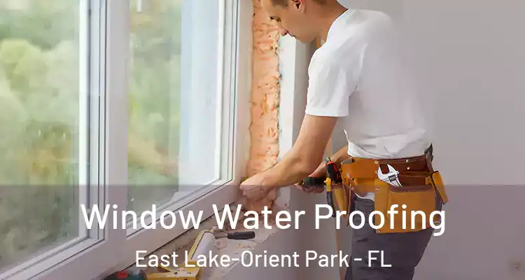  Window Water Proofing East Lake-Orient Park - FL